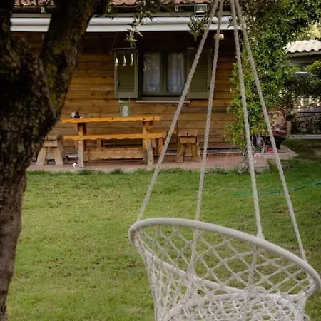 Dreamy Wooden * Ликсури